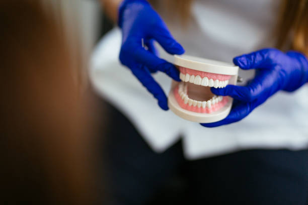 Ettrick, VA  Holistic Dental Services Company